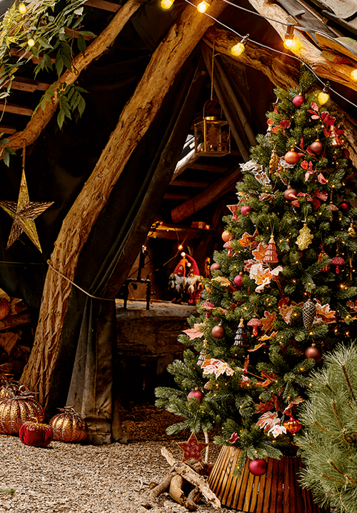Pumpkin Wonderland