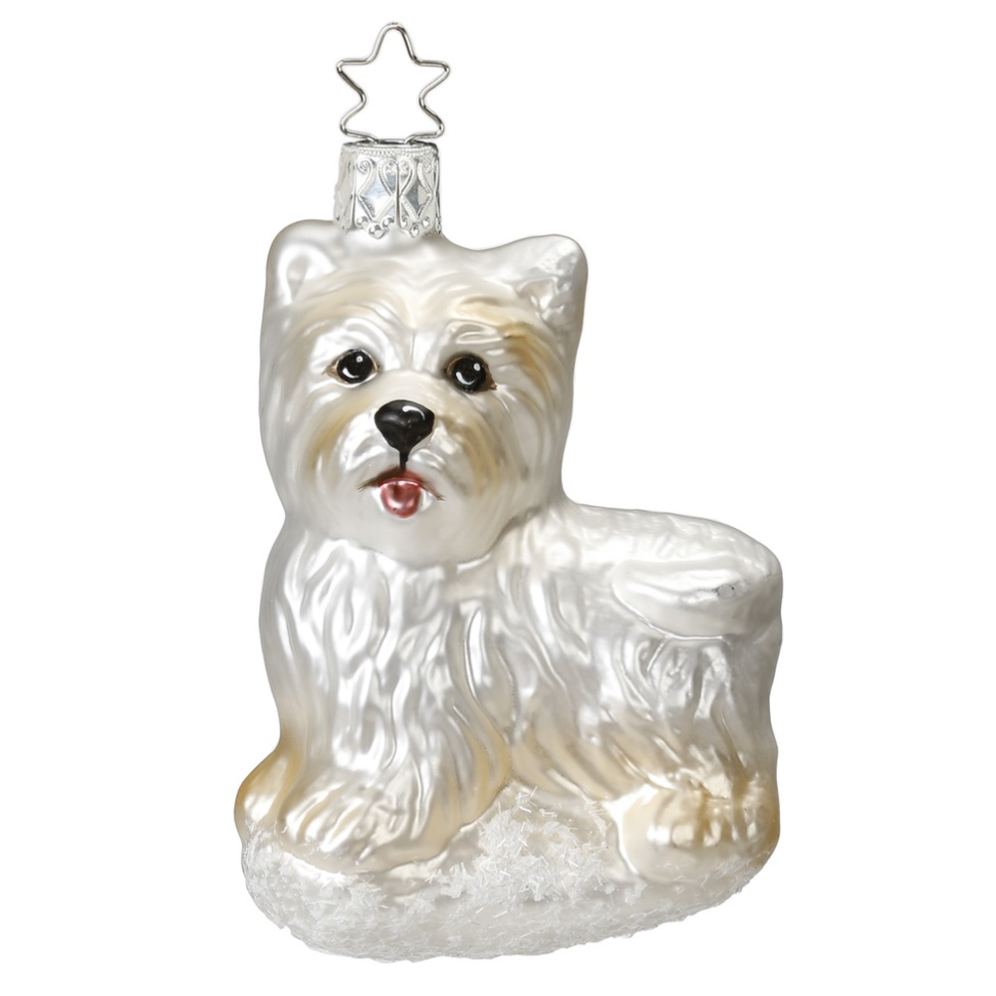 Inge Glas kerstornament - Westie