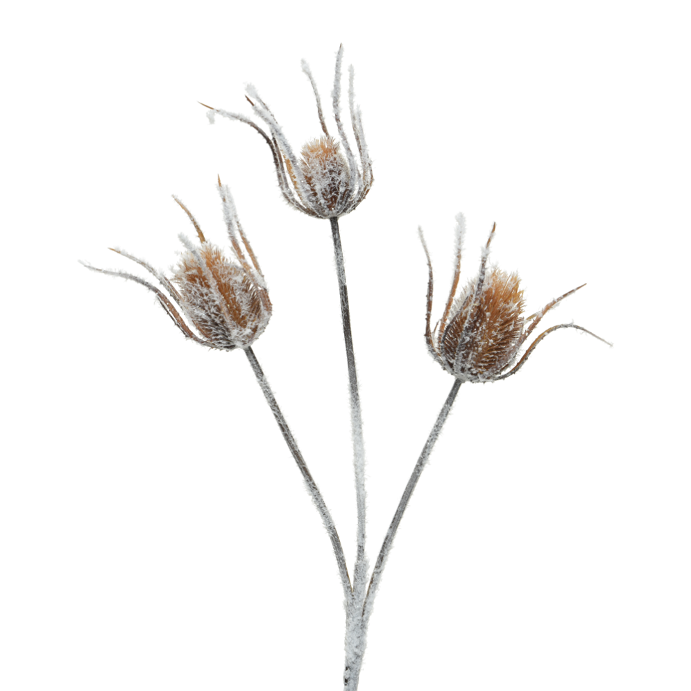 Everlands kersttak - Distel