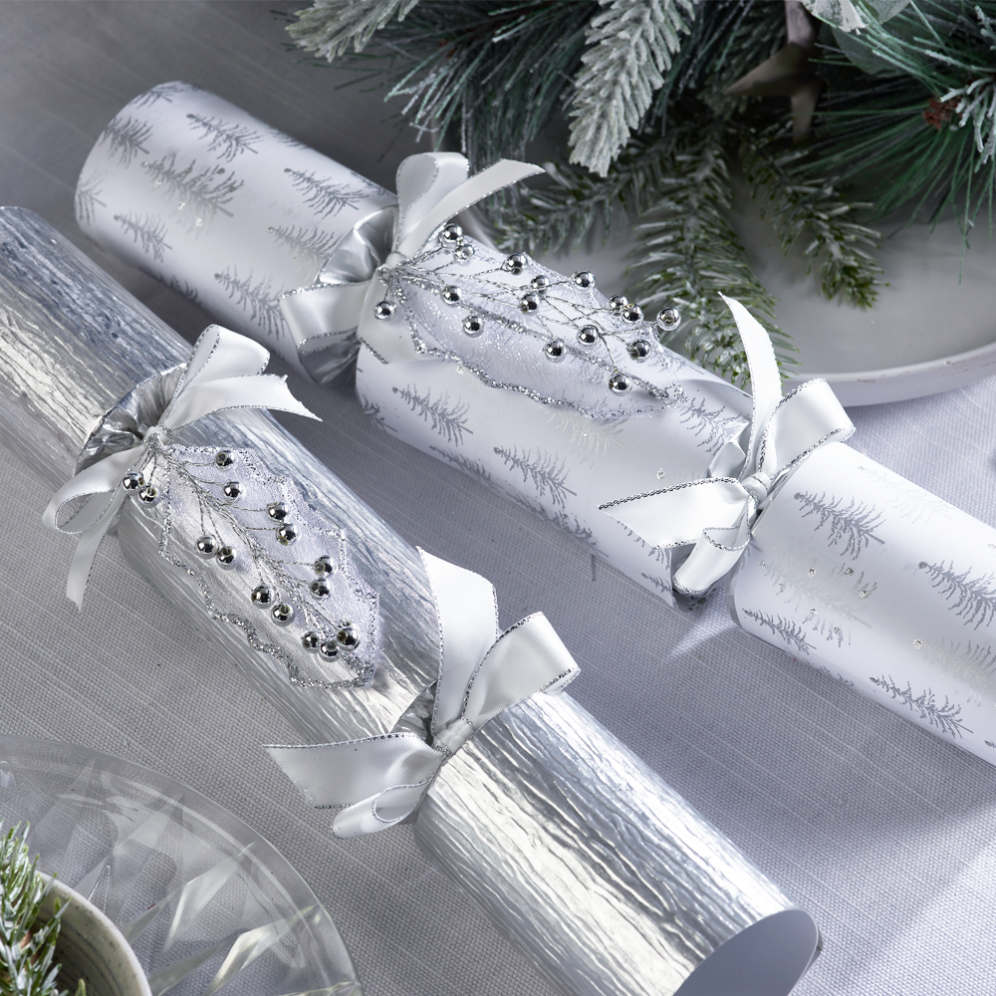 Robin Reed Christmas crackers - Silver Ice - Set van 6