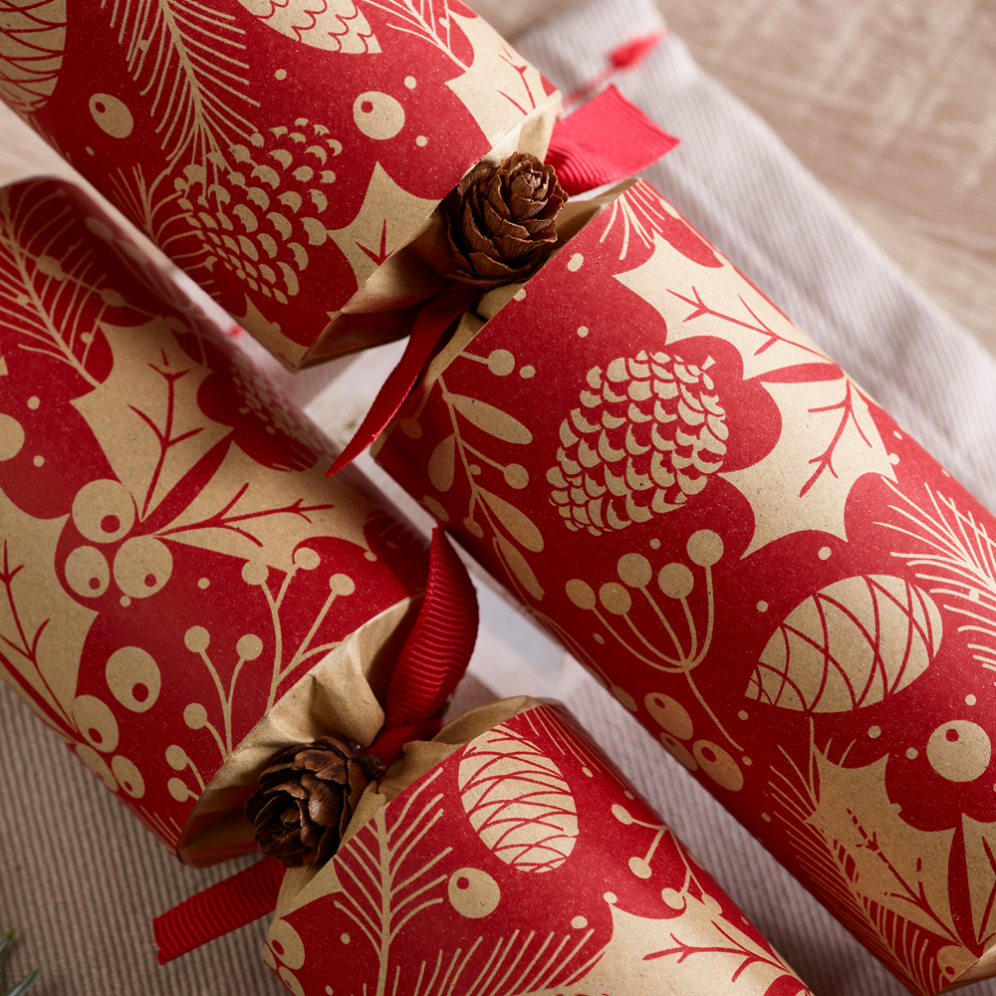Robin Reed Christmas crackers - Cook Shop - Set van 6