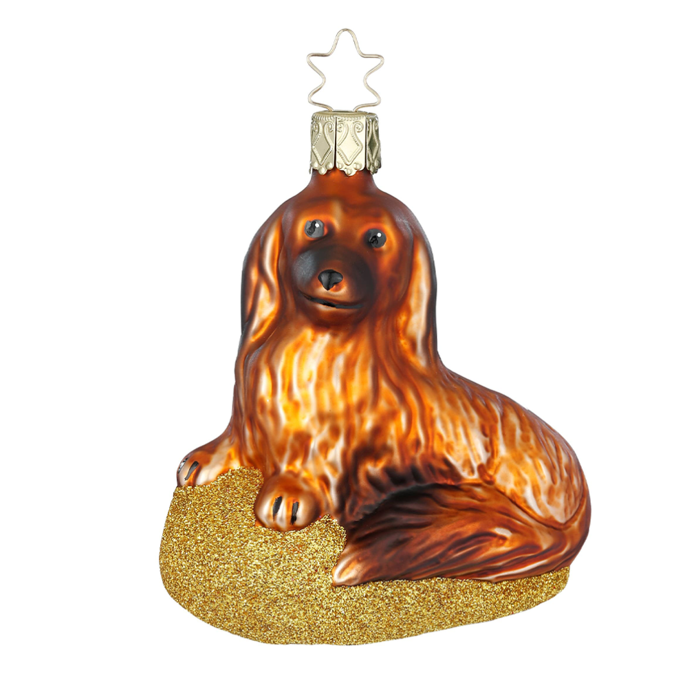 Inge Glas kerstornament - Langharige teckel