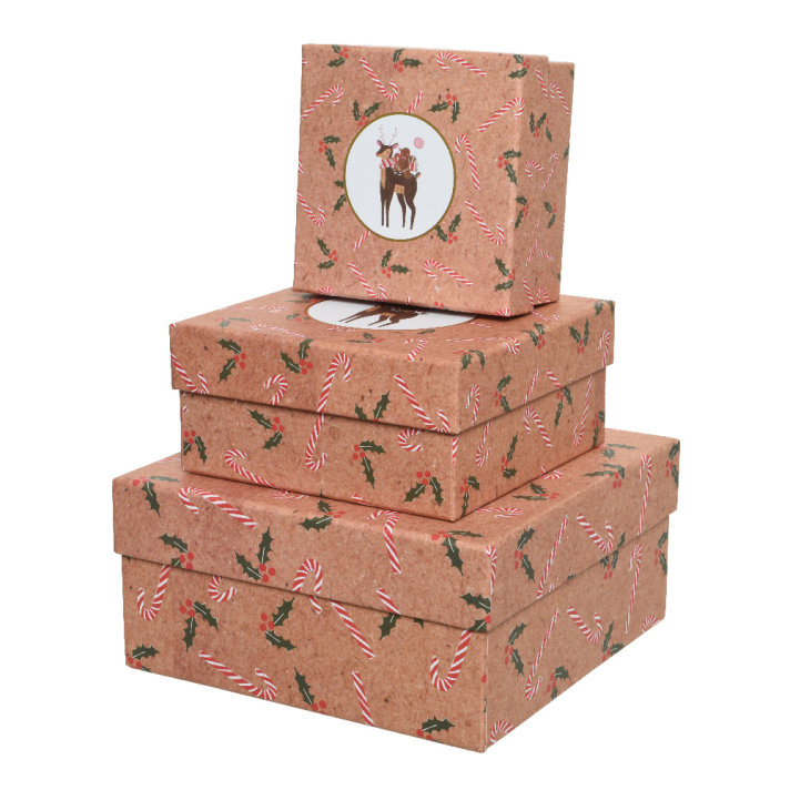Decoris cadeaudozen - Met rendier - Set van 3