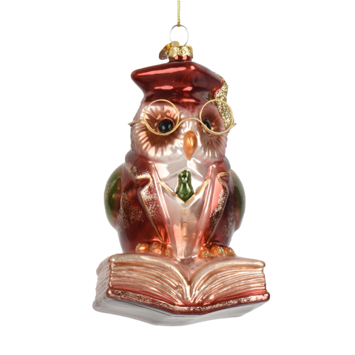 Decoris kerstornament - Uil op boek