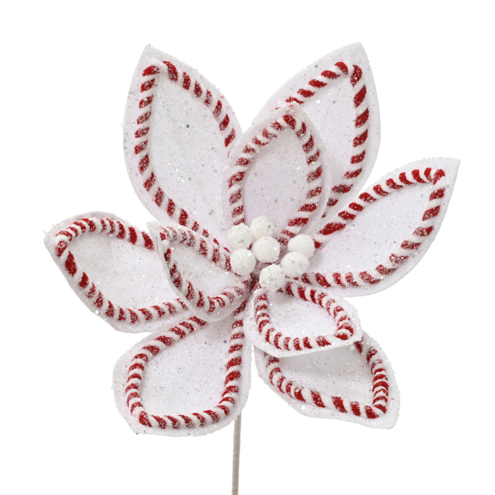 Everlands kersttak - Poinsettia met zuurstok