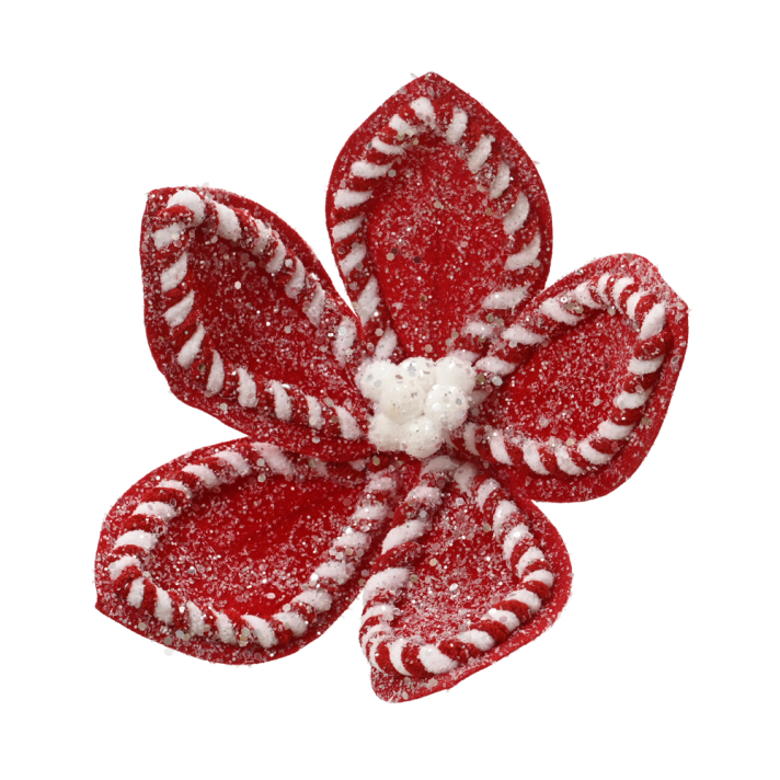 Everlands bloem op clip - Poinsettia met zuurstok