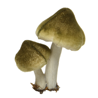 Decoris kerstornament - Paddenstoel - Op clip