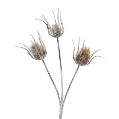 Everlands kersttak - Distel