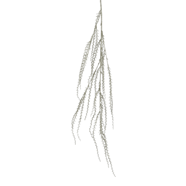 Everlands kersttak - Asparagus