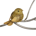 Goodwill kerstornament - Vogel - Op clip